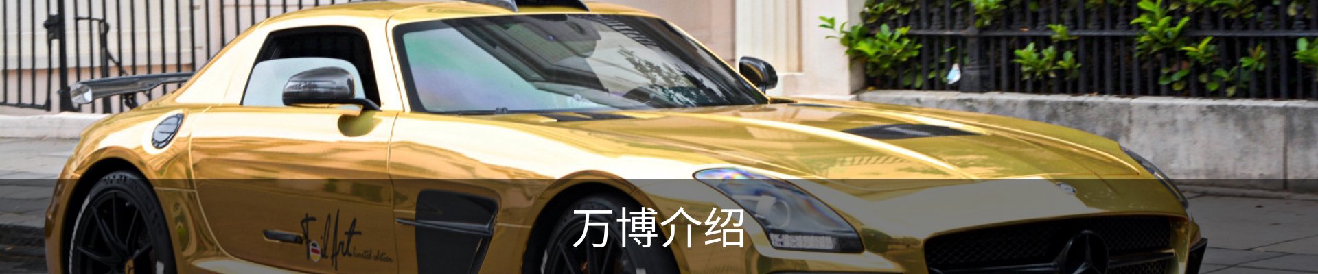 万博介绍
